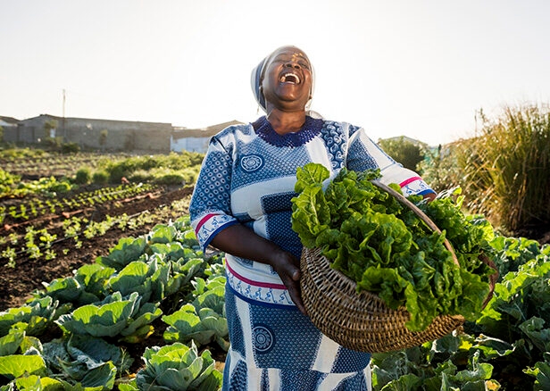 A laughing woman harvest fresh vegetables in a basket.