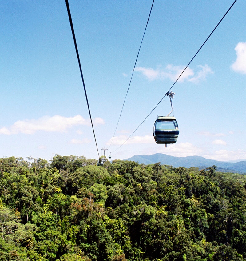 An empty cable car drifts high above a tropical rainforest in North
