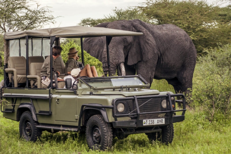A large African elephant stands next to a green safari vehicle during luxury Africa honeymoon trips.