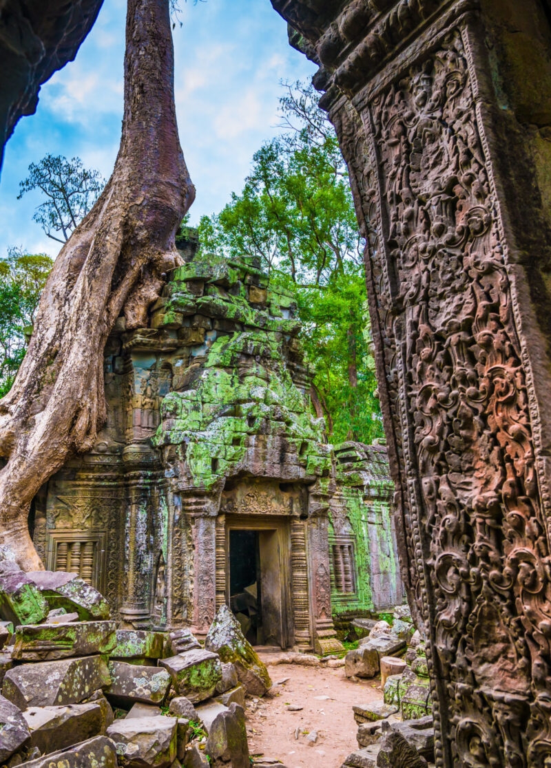 Large tree root growing over the mossy, crumbling stone walls of an ancient temple ruin, with an ornate, carved stone doorway.