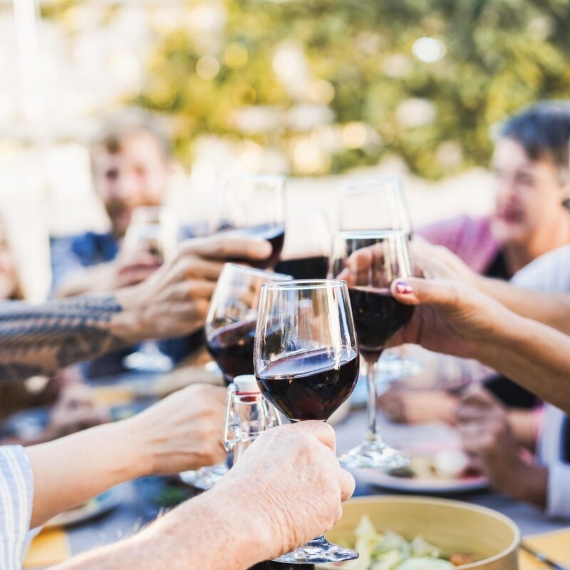 Happy family cheering with red wine at barbecue dinner outdoors