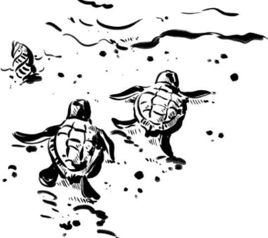 Responsible travel illustration image