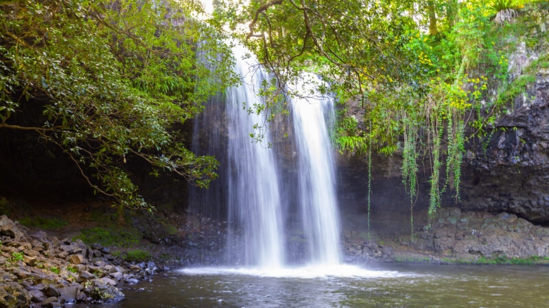 A wide waterfall cascading into a natural pool surrounded by lush green trees and rocky terrain in a forest.
