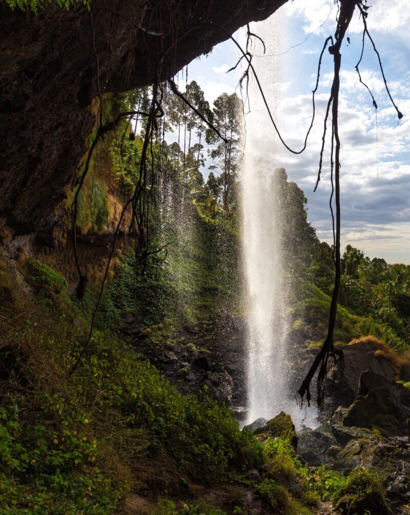 A waterfall cascading through a lush forest seen from behind hanging vines on luxury Uganda safaris.