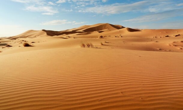 Go on Sahara desert safaris