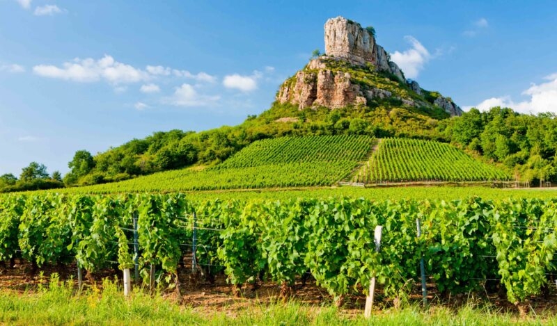 Solutre Rock with vineyards, Burgundy, France