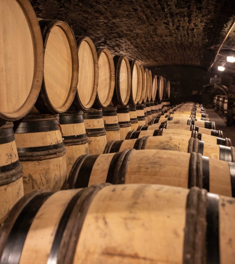 Barrels of wine in an underground cellar
