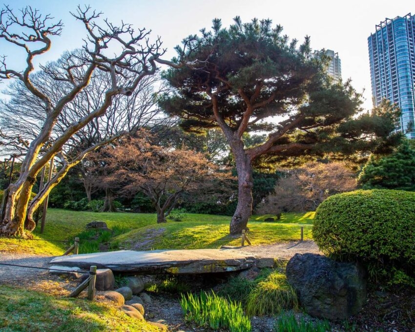 A serene Japanese garden featuring a stone bridge, pine trees, and a stream, contrasted by modern high-rise buildings in the background.