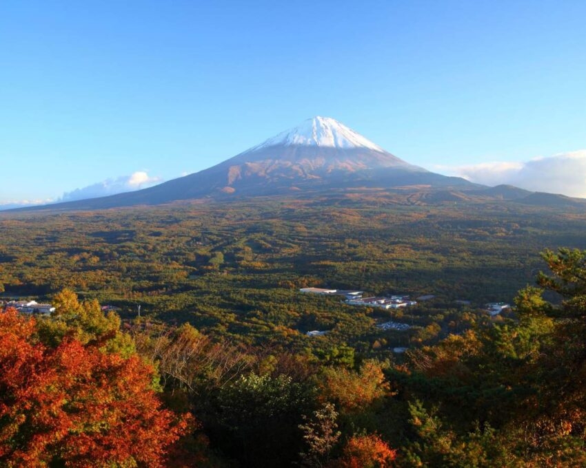 A wide view of Mount Fuji, capped with snow, rising above a vast forest displaying green, yellow, and red autumn colors.