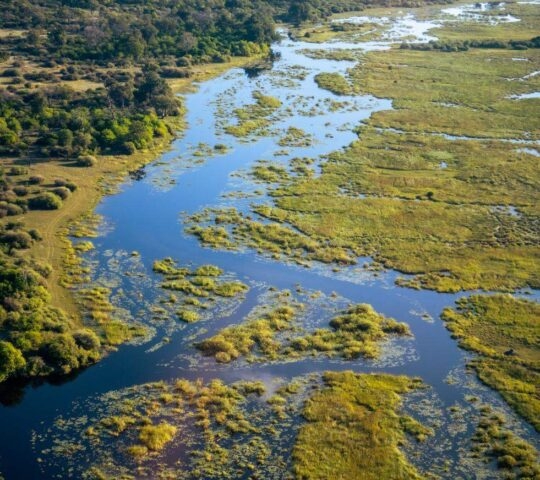 Aerial view of the Okavango Delta