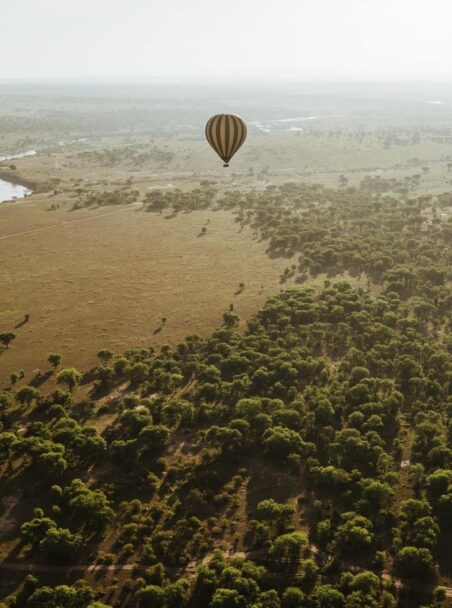 The 7 Best National Parks in Tanzania