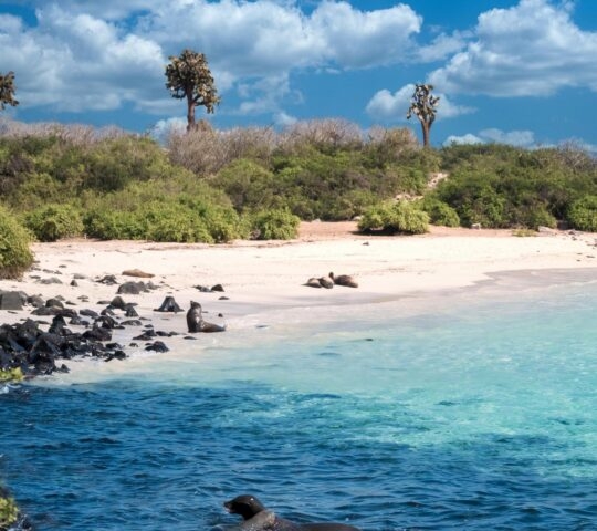 Coastal landscapes on Santa Fe Island