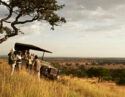 A safari vehicle with guides and travellers inside parked in the sun-drenched grasslands of Singita Grumeti, Tanzania