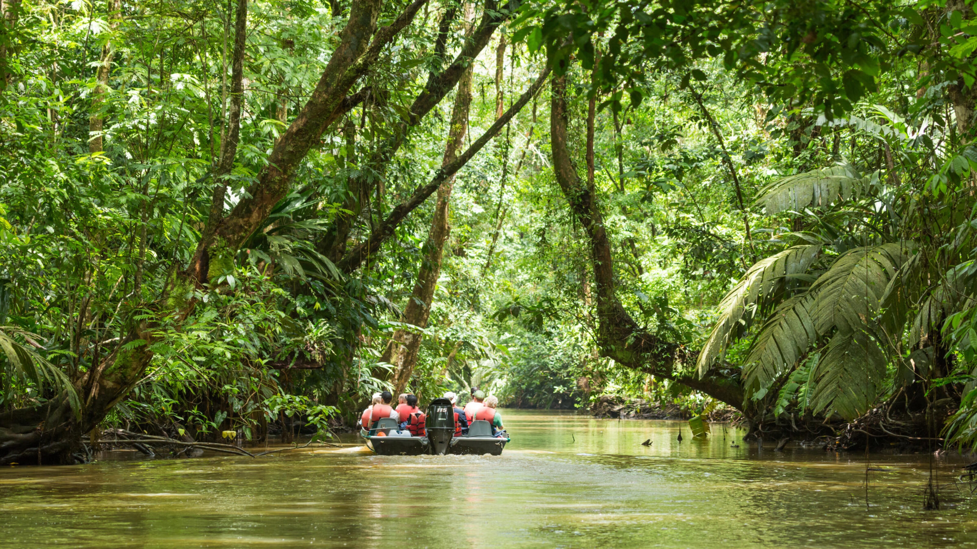 A raft cruises gently down a river in Tortuguero.