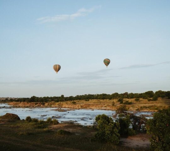 Hot air balloons over the Serengeti National Park, Tanzania