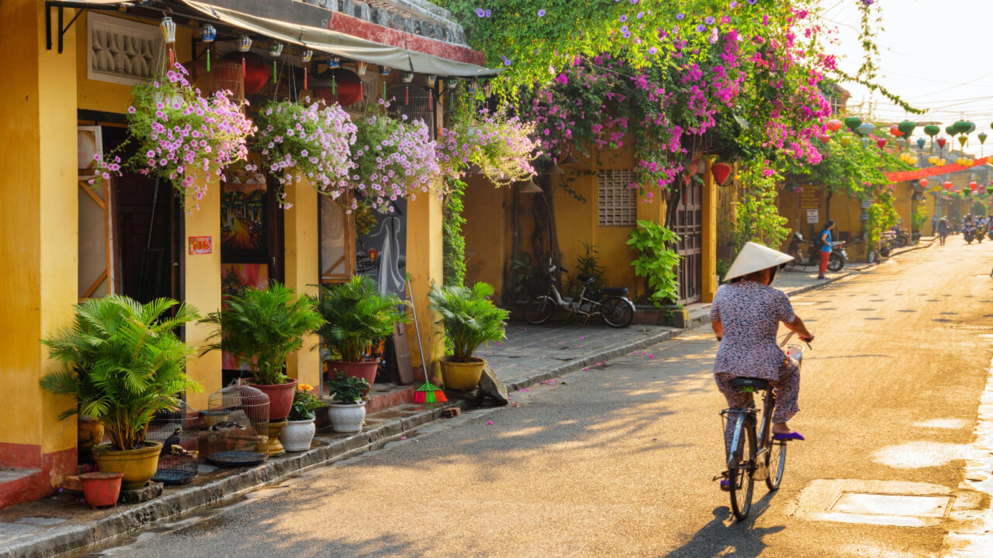 A cyclist in a conical hat travels past yellow historic buildings decorated with flowers.