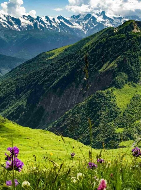 The 11 Best Things to Do in Georgia