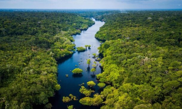 Exploring the Amazon Rainforest, Peru