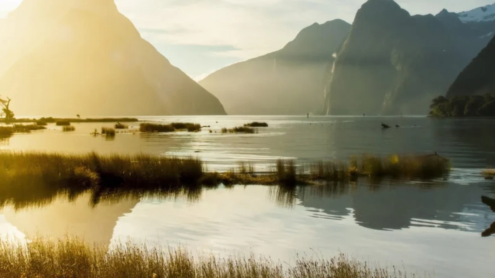 The sun setting over the Milford Sound