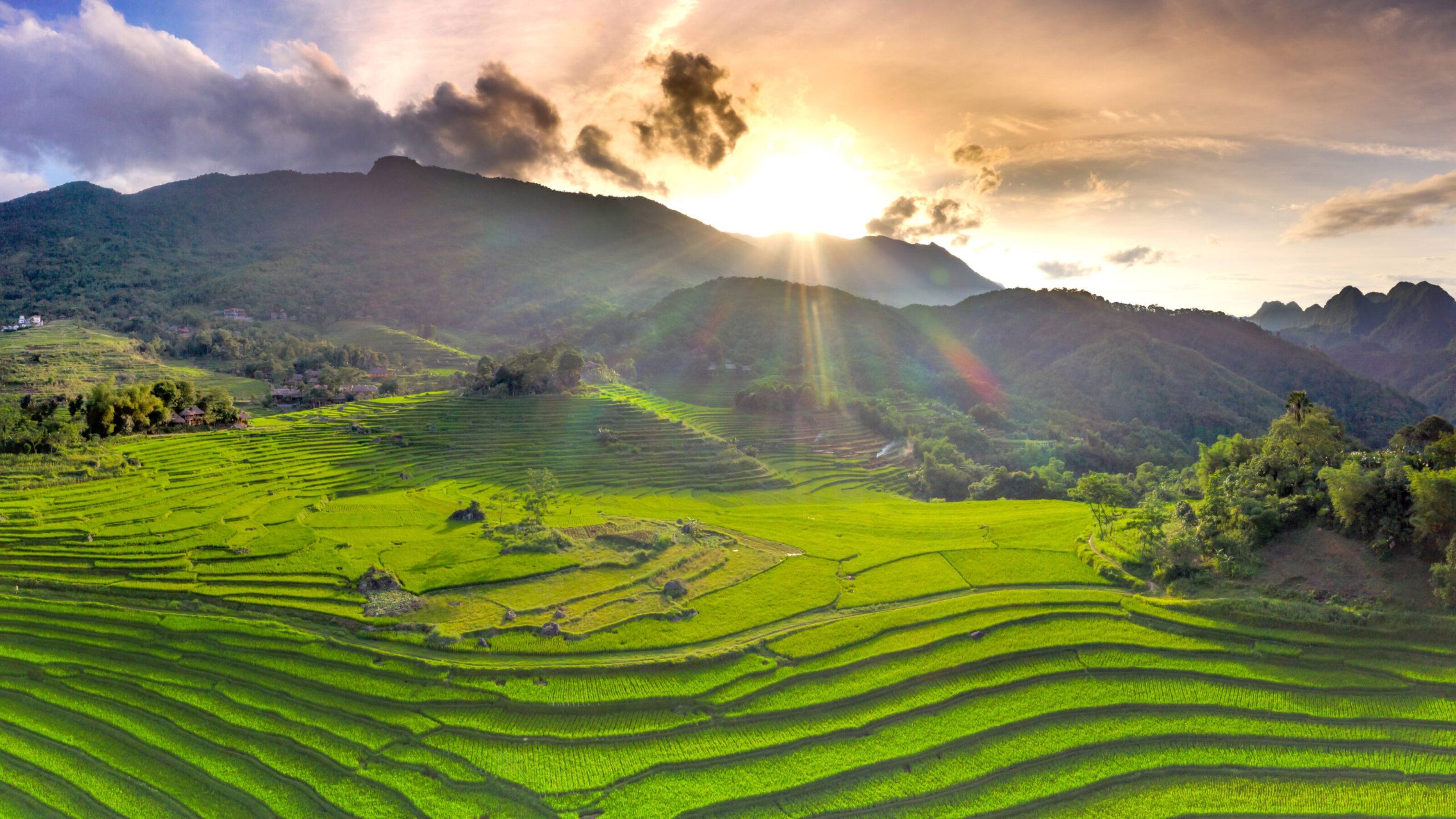 Rice fileds in Mai Chau, Vietnam