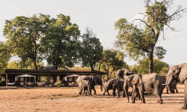 Wilderness Davison’s Camp