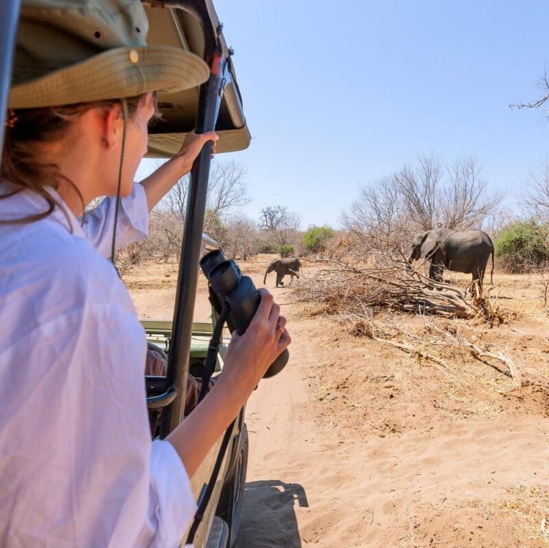 Watching an elephant really close out of a jeep at a safari in Africa