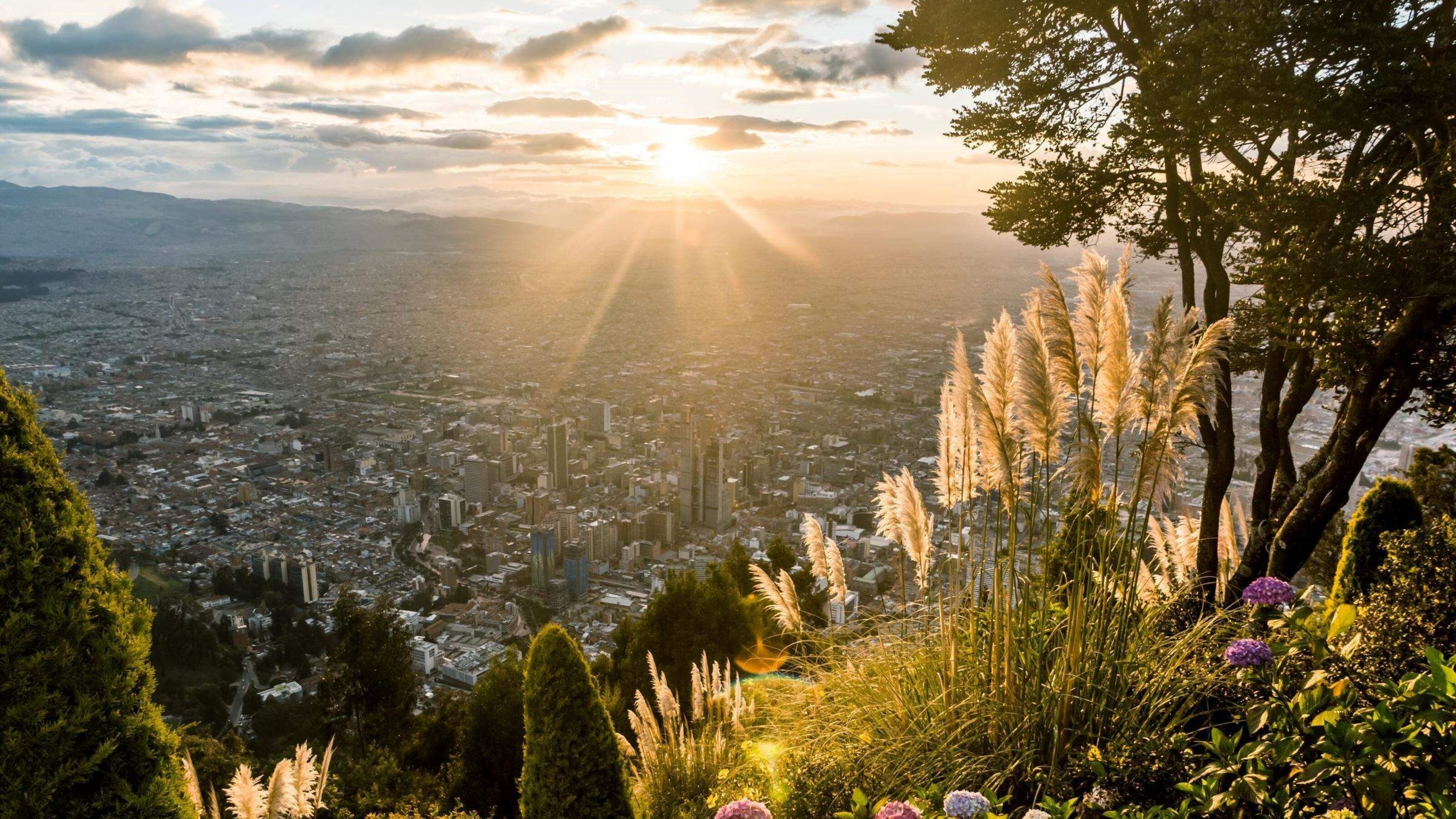Sunrise over the city of Bogota in Colombia, taken from a wildflower covered ridge high above the city