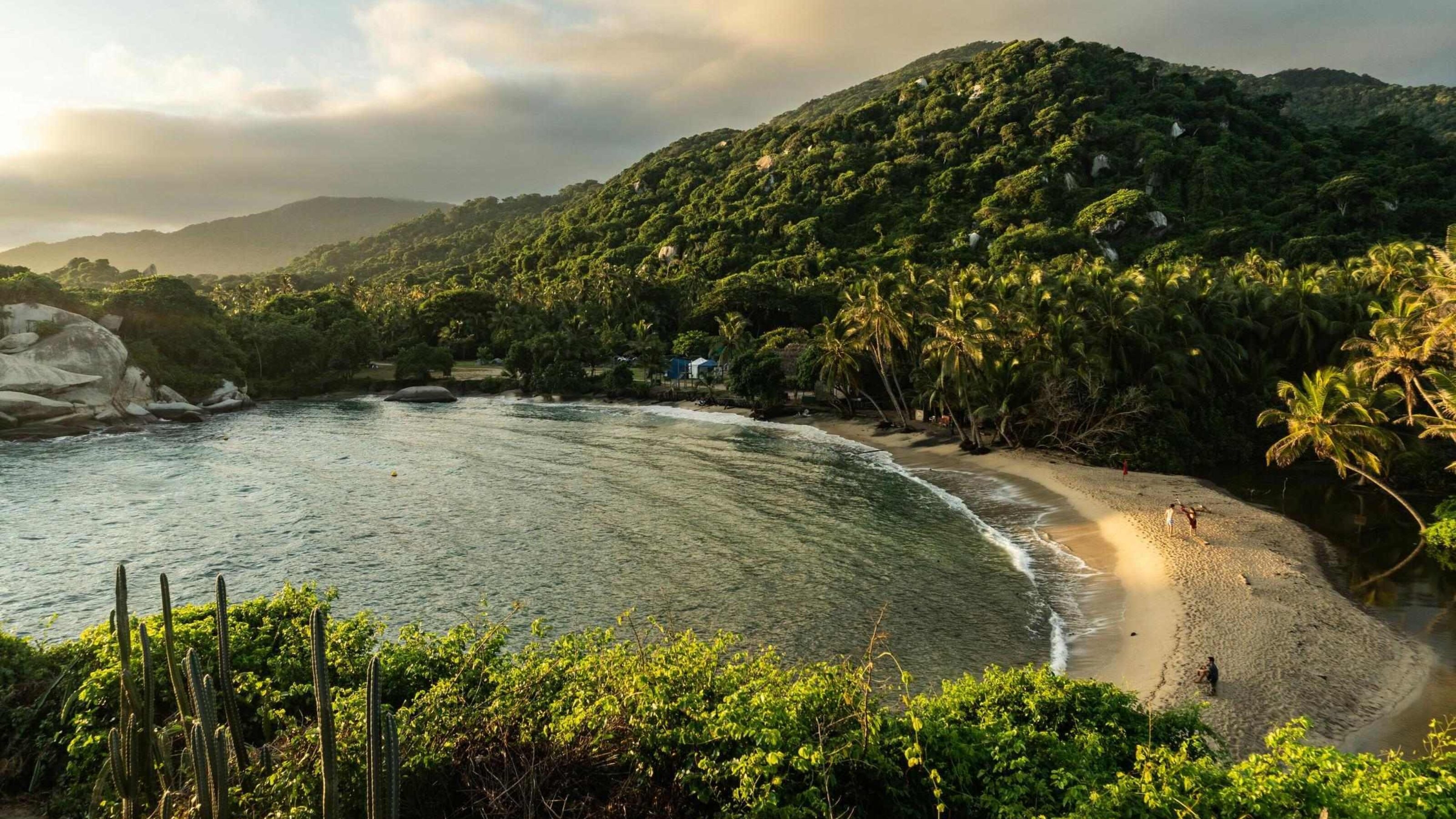 Forested bay with golden sandy beach in Tayrona Park, Colombia
