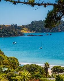 Ultimate New Zealand