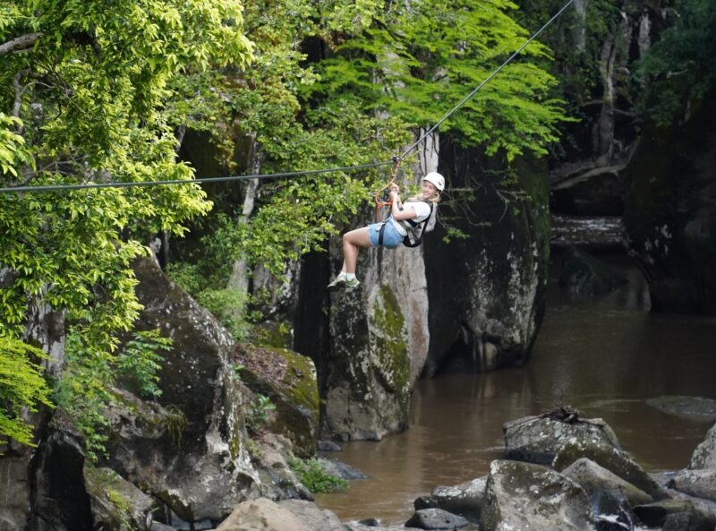 zipline in Jungle over water