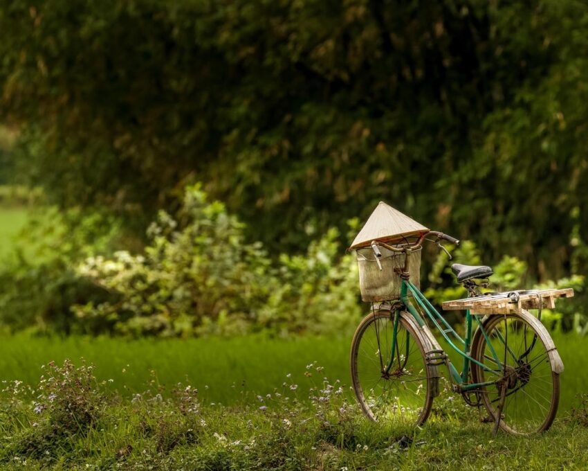 A bicycle in the rice fields of Mai Chau, Vietnam.
