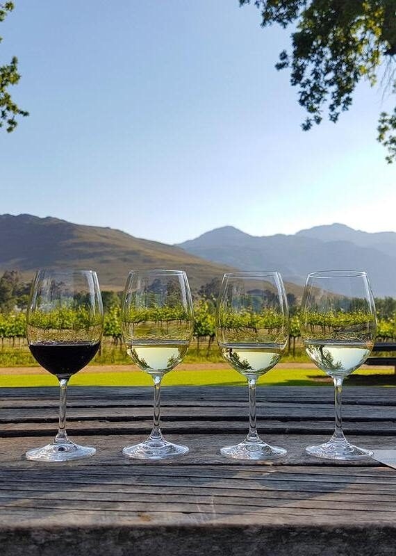 Four glasses of wine—one red and three white—sit on a wooden table overlooking a sunny vineyard and mountains.