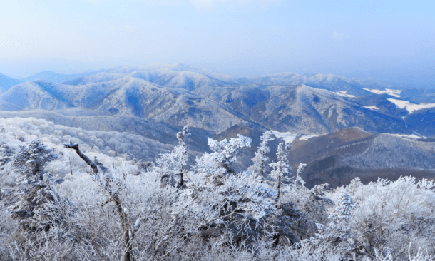 Wide aerial view of rolling mountain ranges covered in snow and frost, with frozen trees in the foreground.