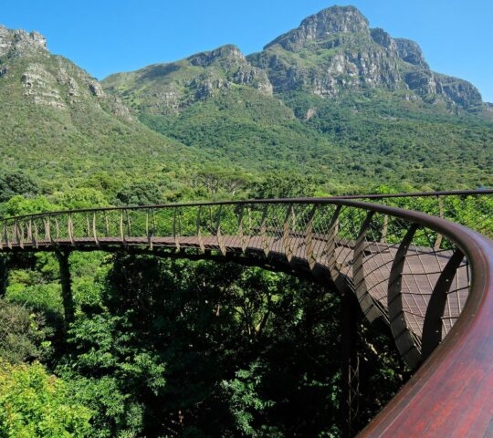 A footbridge through Kirstenbosch botanical gardens in Cape Town, South Africa
