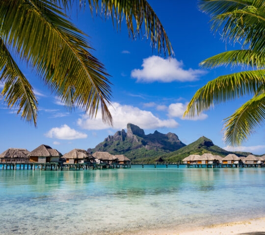 Bora Bora framed by palm trees