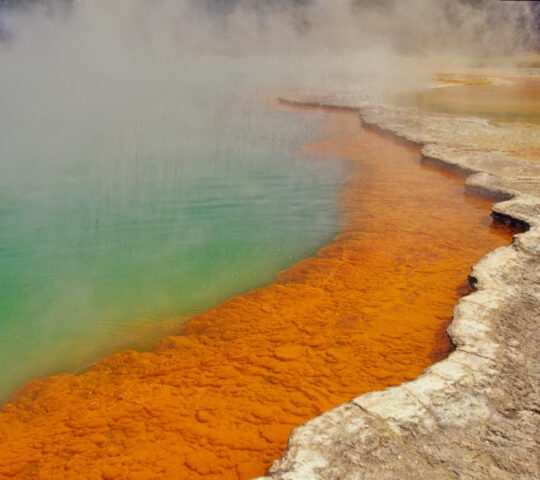 Geothermal activity around Rotorua