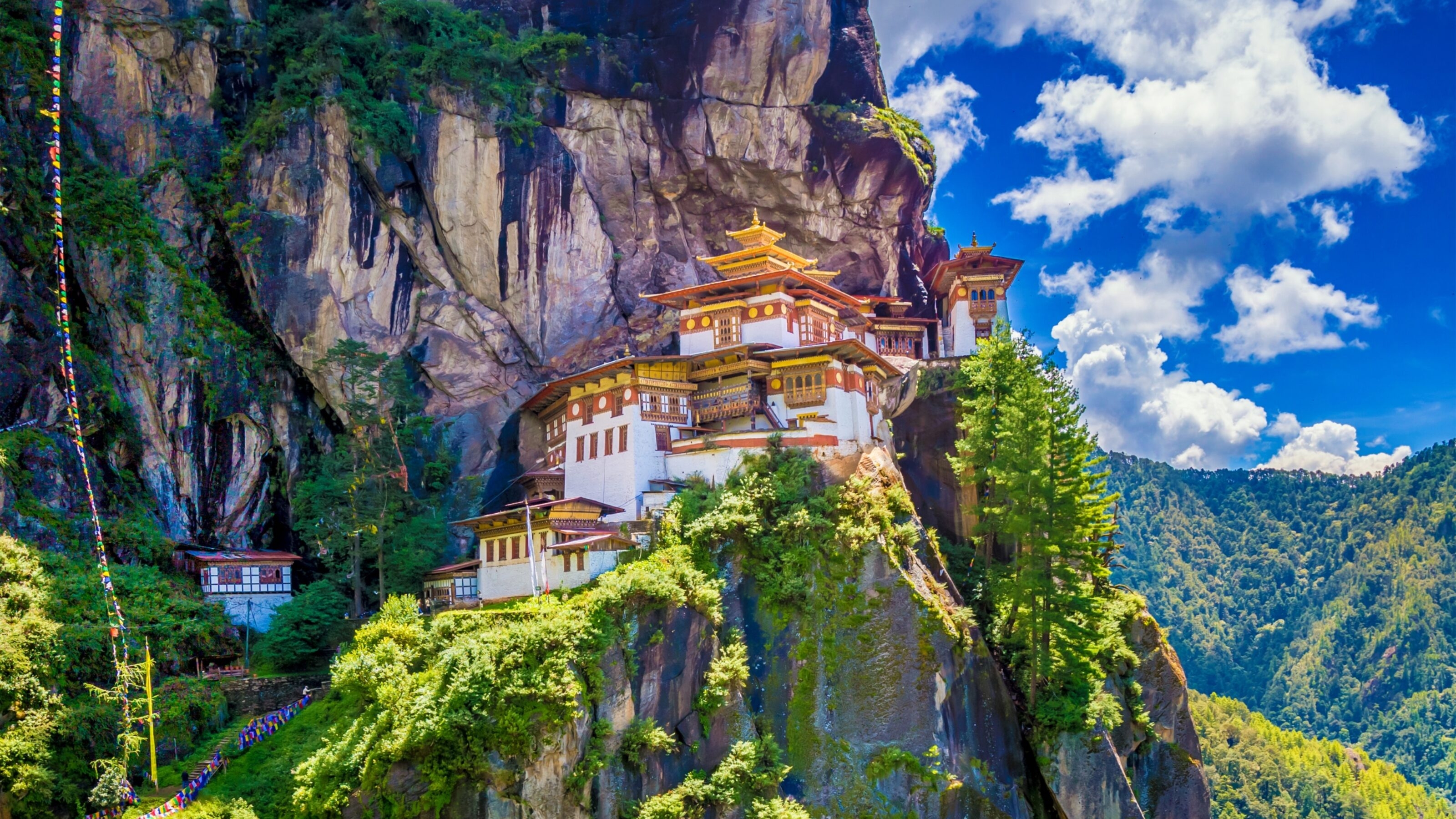 Picnic with glasses of white wine on a vineyard. Two glasses of white wine, cheese, bread, grape, berries, melon.