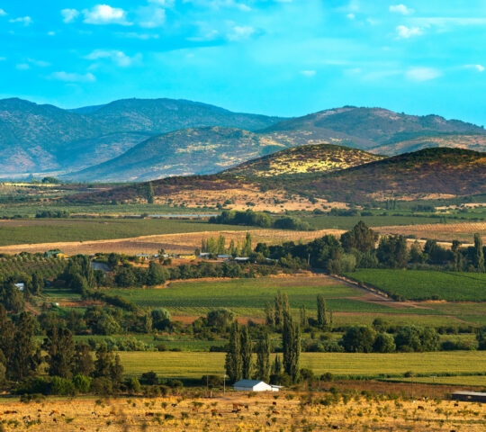 Crop fields and farms at Region del Maule in southern Chile