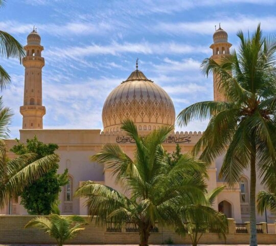 The Sultan Qaboos Mosque in Muscat fringed by palm trees