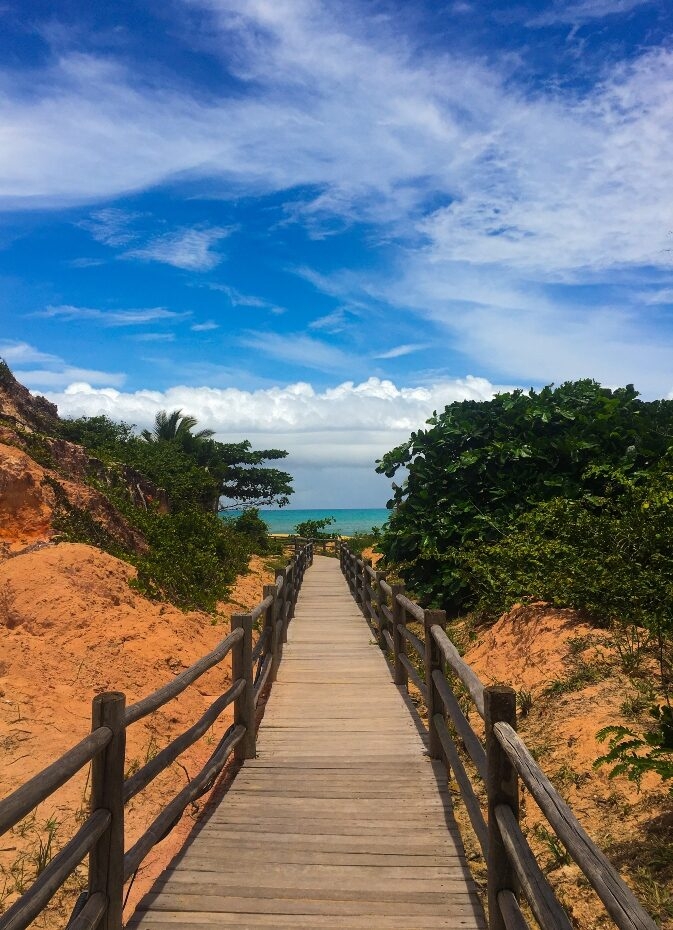 Wooden boardwalk flanked by vegetation leading to a beach under a blue sky.