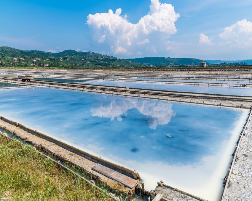 Salt evaporation ponds with blue sky and cloud reflections, surrounded by greenery.