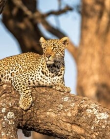 An Awe-Inspiring Journey to Namibia and South Africa