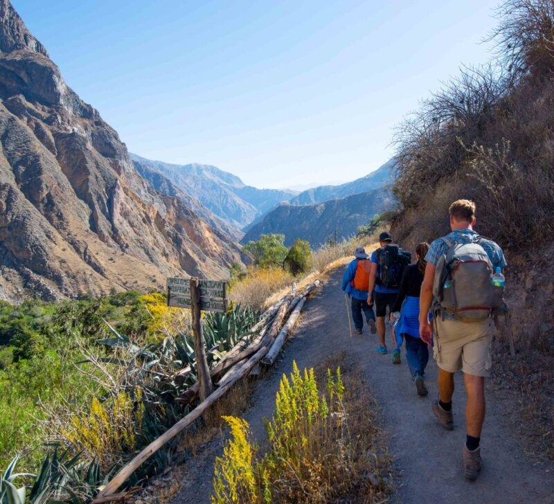 Tourists walk by hiking trail of Colca Canyon - Peru.
