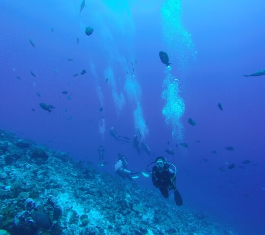 Scuba divers exploring a coral reef surrounded by fish underwater.