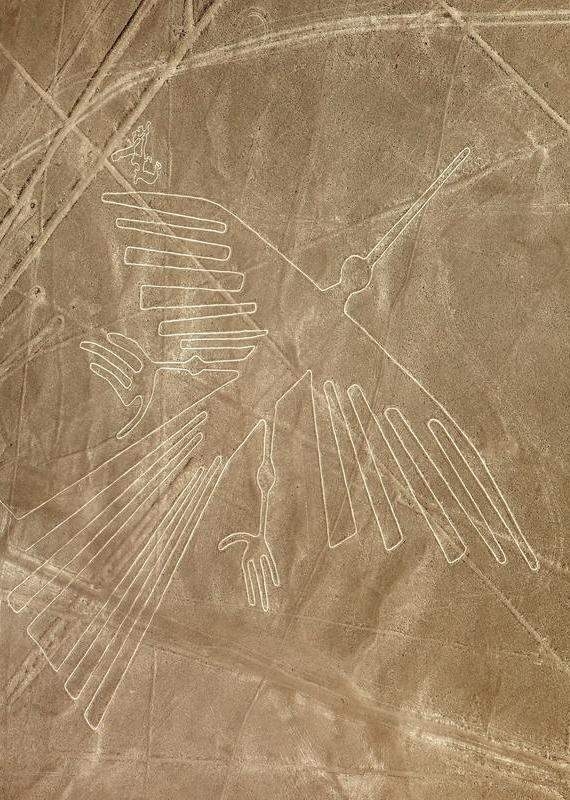 Aerial view of the Nazca Lines depicting the hummingbird geoglyph in Peru.