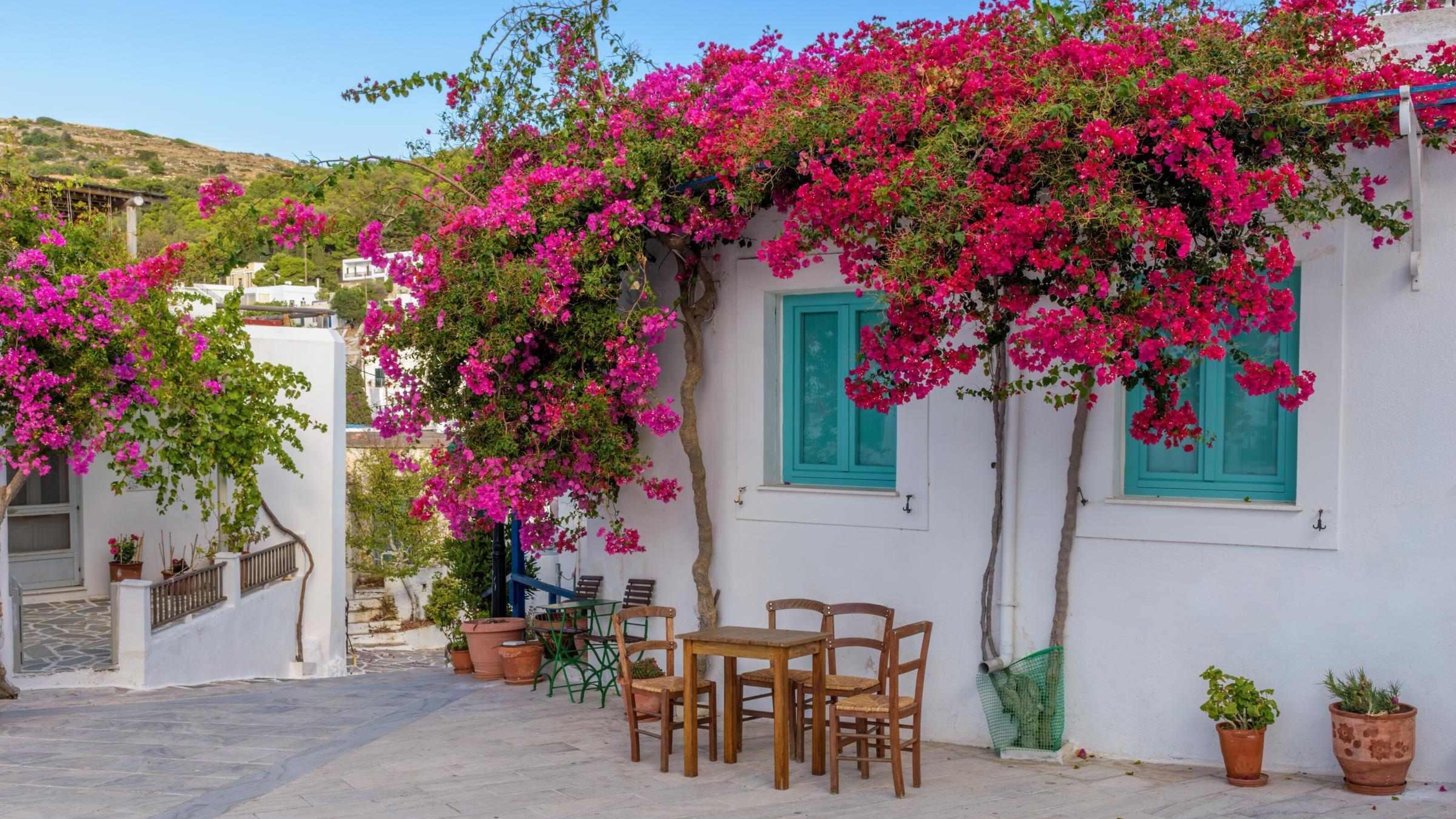 Picturesque alley in Lefkes, Paros with whitewashed houses and bougainvillea