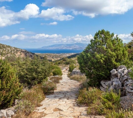 Stone pathway through a hilly landscape with green shrubs and a view of a distant sea under blue sky.