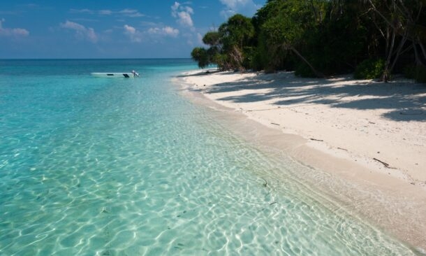 Tropical beach with clear turquoise water, white sand, and green foliage.