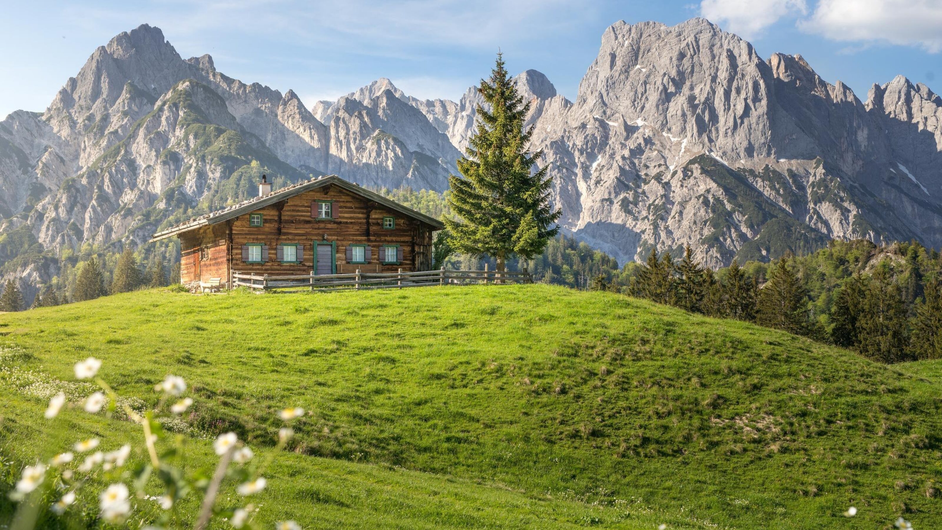 A wooden cabin on a green hill with mountain backdrop and wildflowers in foreground.
