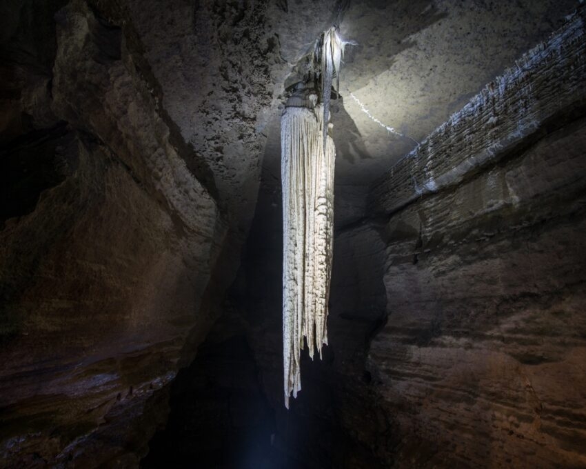 Stalactite formation hanging in a dimly lit spacious cave.